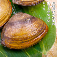 画像をギャラリービューアに読み込む, 【北斗産】殻付きホッキ2kg(9~11個)(販売期間 7~12月)