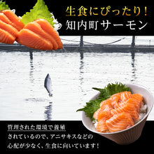 画像をギャラリービューアに読み込む, 【知内サーモン】冷凍サーモントラウト・ハーフロイン　1kg　
